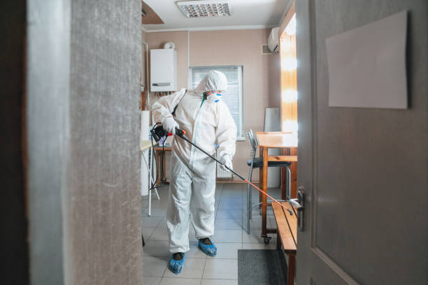 Best Air Quality Testing for Mold Spores  in Laporte, CO