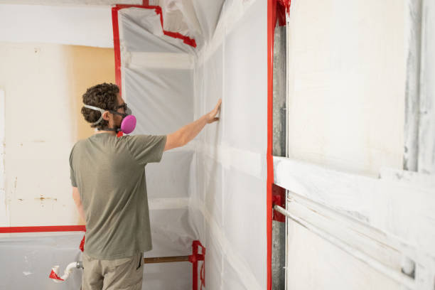 Best Attic Mold Removal  in Laporte, CO